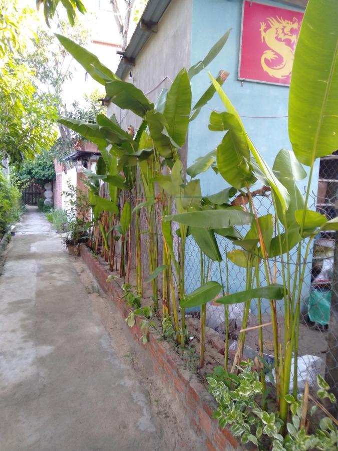 Pink Beach Homestay Hoi An Dış mekan fotoğraf